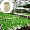 20 Pcs Rockwool Starter Plugs Hydroponic Seedling Blocks Soilless Cultivation