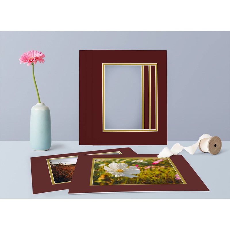 Golden State Art, 11x14 Double Mats for 8x10 - for