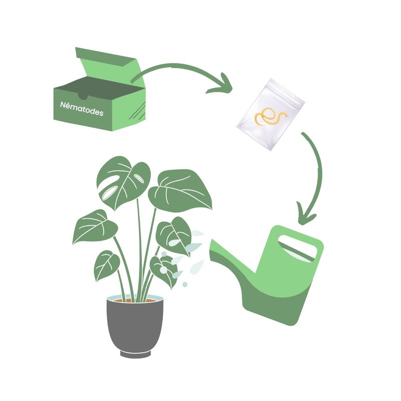 Hb Anti-Otiorhync Nematodes - 5 Million