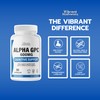 Vibrant Naturals Alpha GPC 99% Choline Brain Supplement for Acetylcholine,
