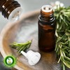 R V Essential Pure Onion Essential Oil 10ml (0.338oz)- Allium