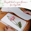 Blotting Paper for Flower Press • Large A4 Flower Press
