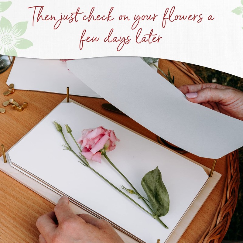 Blotting Paper for Flower Press • Large A4 Flower Press