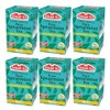Fenjan Pure Spearmint Tea, Refreshing & Cooling, 20 Tea Bags