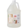 TableTop King 1 Gallon Coconut Slushy Syrup