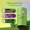 FEEL Ashwagandha, KM66, Promotes Memory, cognition and Relaxation, (60 Capsules)