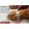 Bark Brite Lightweight Neoprene Paw Protector Dog Boots Designed for