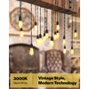Sunco 12 Pack Vintage LED Edison Bulbs, 75W Equivalent 8.5W,