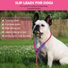 Dosuyi No Pull Dog Leash, Slip Lead 5.9 FT Lightweight