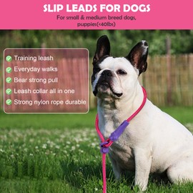 Dosuyi No Pull Dog Leash, Slip Lead 5.9 FT Lightweight Doggy Training, Puppy Leash for Small Medium Dogs 8 Colors Classic Pet Rope