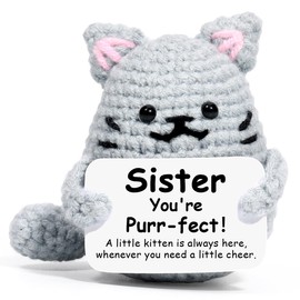 AICase Funny Cat Sister Gifts from Sister, Big Little Adult Older Sister Gift for Women Birthday Mothers Day Graduation Christmas Who Has Everything Emotional Support Crochet Gag Cool Unique Gift