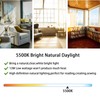 Ignixlite PL13-E-FFP 13W Type E Fluorescent Light Bulb Compatible with