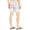 Quiksilver Men's Standard Resin Tint PCS Volley 17 Swim Trunks,