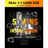 OXILAM M5S H7 LED Bulb 40000LM 900% Brightness, 6500K Cool