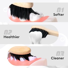 Virgin Forest Virgin Forest 10 Count Bamboo Toothbrush, Soft Bristle for Adults, Eco Friendly Natural Wooden Toothbrushes, Vegan Organic Bamboo Travel Tooth Brush (10 Colors)