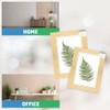Norfolk A4 Photo Frame, Beech Wood with Glass, 21 x