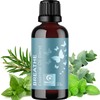 Breathe Essential Oil for Diffuser - Invigorating and Refreshing Breathe