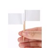100 Pieces Blank Toothpick Flags Cheese Markers Food Labels for