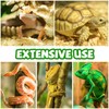 QUOZUO Reptile Tank Accessories Plants Vines and Flexible Reptile Artificial