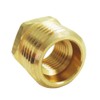 Nigo Industrial Co. Brass Pipe Fitting, Hex Bushing Reducer, Nominal