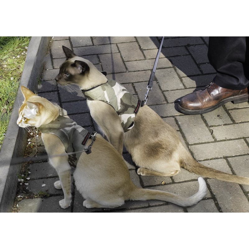 Mynwood Cat Jacket/Harness Desert Storm Combat Adult Cat