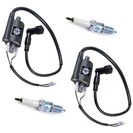 Replacement Parts Consumables for 2x Ignition Coil for American Lifan Industry LF200 2005-2009 Model-ddd33-1875