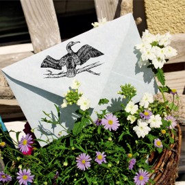 Dekolando Motif Stamp Cormoran Sitting on Branch – Stamp Bird Wooden Stamp – Imprint 48 x 28 mm