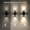 Smart Outdoor Wall Lights 2 Pack, IP65 RGB Wall Lights