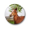 04 Large Fridge Magnets for Memo Board / Notice Board