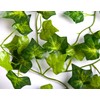 Best Artificial 200cm / 7ft Ivy Garland Hanging Vine String