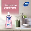 Dial Jabón Líquido Para Manos Dial Minerales Rosados 221 Ml
