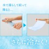 Alphax AP-440215 Cool Towel, Cooling Towel, Mint, 13.8 x 13.8