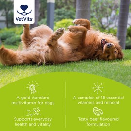Vetvits Multivitamin for Dogs (120 Tablets) | Gold Standard Multivitamin for Every Stage in Life | 18 Essential Vitamins & Minerals | Supports Every Day Health & Vitality | Beef Flavoured