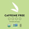 Choice Organic Teas Mint Sage Tea - Organic Herbal Tea