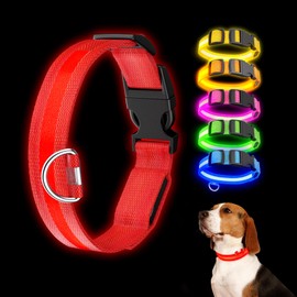 Light Up Dog Collar Rechargeable, LED Dog Collar Waterproof, Glow in Dark Dog Collar, Lighted Dog Collars for Night Walking Charging USB, Safety Dog Collar for Small Medium Large Dogs（XL, Red）