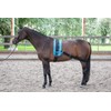 Harry's Horse lunging band elastic, black for training the back