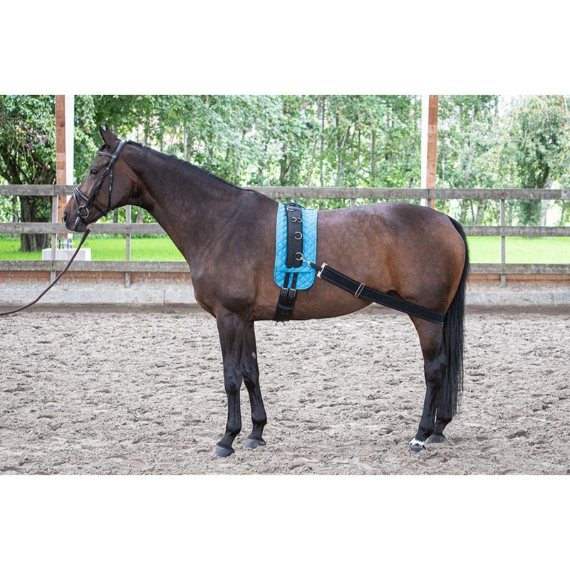 Harry's Horse lunging band elastic, black for training the back