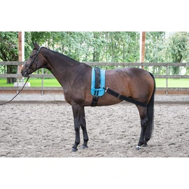 Harry's Horse lunging band elastic, black for training the back of the hand when riding or lunging.