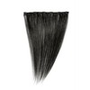 Love Hair Extensions One-Piece 100% Real Hair Clip-In Extensions -