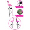 Solar Peacock Garden Light for Outdoor Decor – Auto On/Off