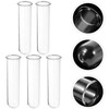 Kisangel 5Pcs Plant Propagation Tubes Glass Test Tubes Plant Propagation