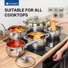 Daniks Modern 10-Piece Stainless Steel Cookware Set with Glass Lids,