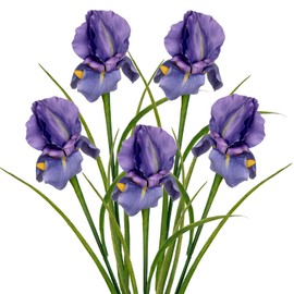 DILATATA Iris Flowers Artificial 5 Pcs Real Touch Long Stems Iris Flowers 23.6" Silk Iris Fake Flowers for Wedding Bridal Home Decor - Purple