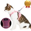 Blueberry Pet 5 Patterns Diagonal Striped/Reflective Cat Harness & Leash