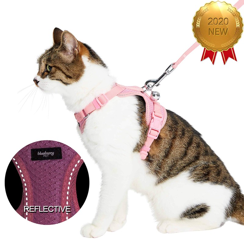 Blueberry Pet 5 Patterns Diagonal Striped/Reflective Cat Harness & Leash