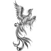 2 Sheets Dragon and Phoenix Tattoo Fake Tattoo Arm Tattoo