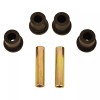 Huskey Club Car DS Golf Cart 4 Bushings and 2
