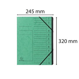 Exacompta 541203E premium folder stapled. Made from extra strong Colorspan cardboard DIN A4, 12 black compartments and 2 elastic bands with organisation print, ring folder, index folder, green.