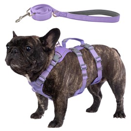 Wuffley Dog Harness with Lead, Safety Harness, Escape Proof, Anti-Pull Dog Harness with Assistance Handle and Reflective, Lightweight Adjustable Harness for Medium Dogs (Purple, M)