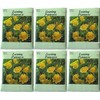(6 Pack) 250 mg/Package Evening Primrose Heirloom Variety Seeds